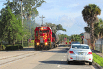 Florida Northern CF7