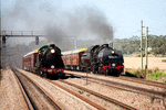 NSW Rail Transport Museum 4-6-0