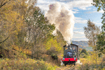 Tanfield Railway 0-4-0