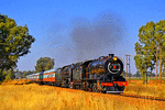 Reefsteamers Association Class 12AR