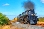 Union Pacific 4-8-8-4