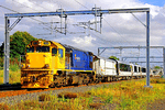 KiwiRail GT22 MC (DFB)