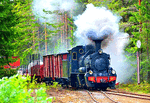 DONJ 0-6-6-0