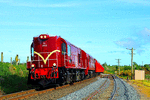 Diesel Traction Group DI