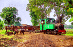 Indonesian Railways 0-8-0T