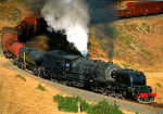 South African Railways 4-8-2+2-8-4